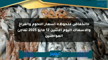 «انخفاض ملحوظ» أسعار اللحوم والفراخ والأسماك اليوم الإثنين 12 مايو 2025 تفاجئ المواطنين